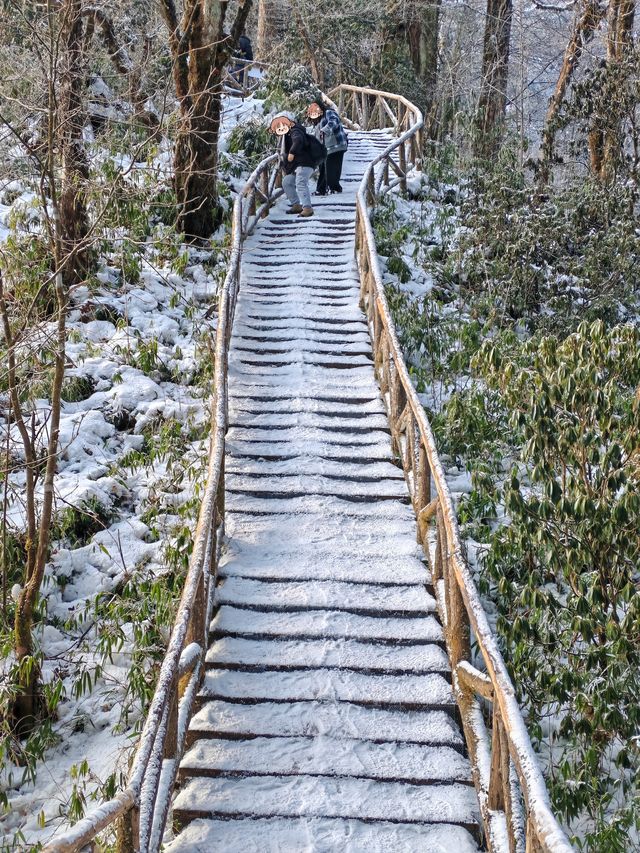 龍蒼溝天生橋景區