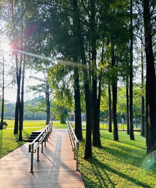 被這個公園治癒…周末遛娃 散步必逛四海公園