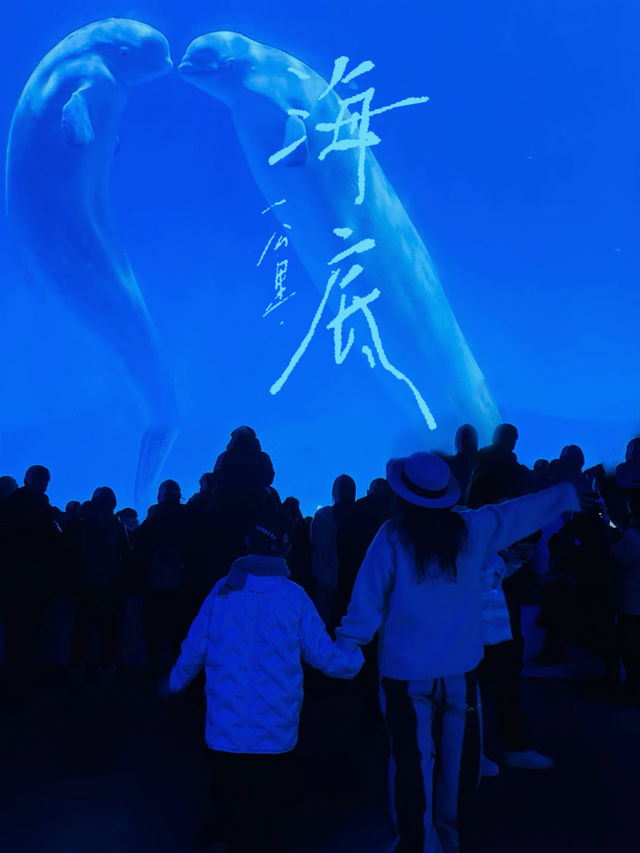 海洋館都搞成這樣了