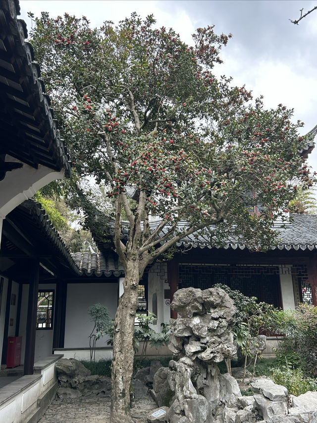 秋霞圃｜上海著名古典園林，一步一景，秀色迷人