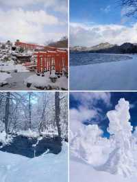 第一次來日本青森，保姆級旅遊攻略！