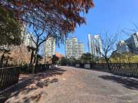 長壽公園重綻光彩，新設施亮點十足