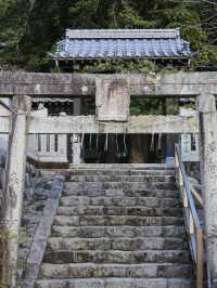 四國阿南｜ 找到了藏在山裡的招財貓神社