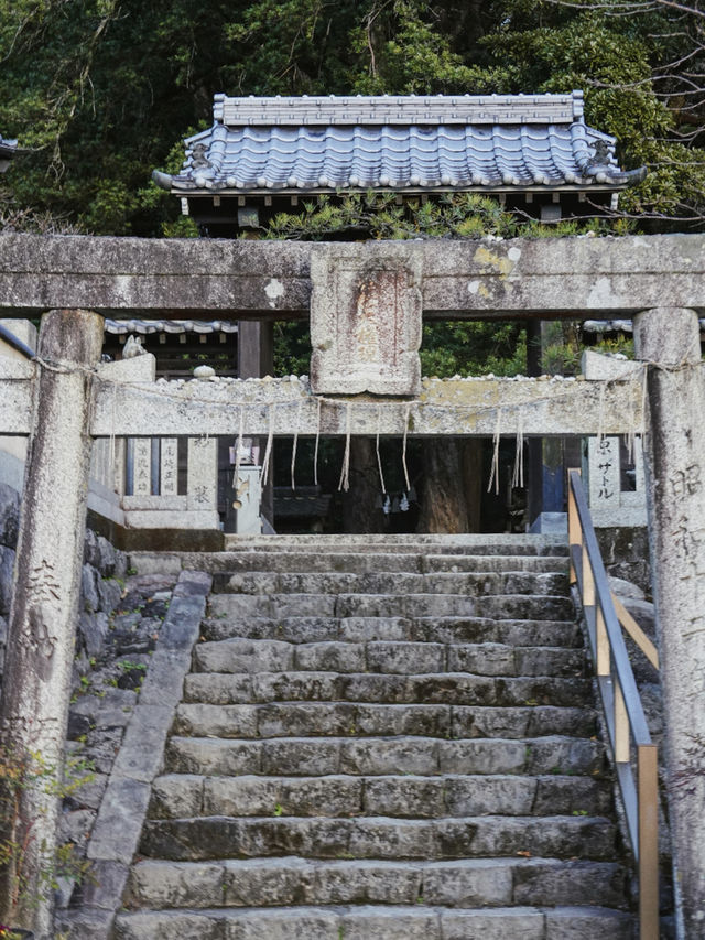四國阿南｜ 找到了藏在山裡的招財貓神社