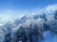 日本中部升龍道踏雪之旅
