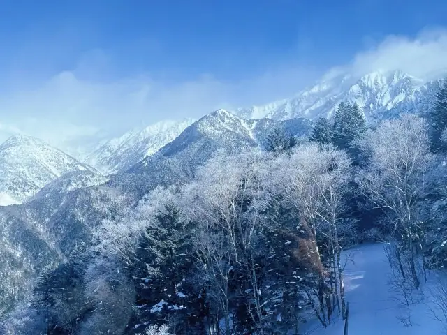 일본 중부 승룡도 설경 여행