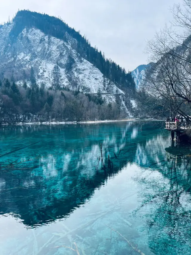 6-Day Family Trip: Chengdu, Chongqing, and Jiuzhaigou