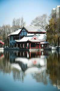 打卡西寧人民公園