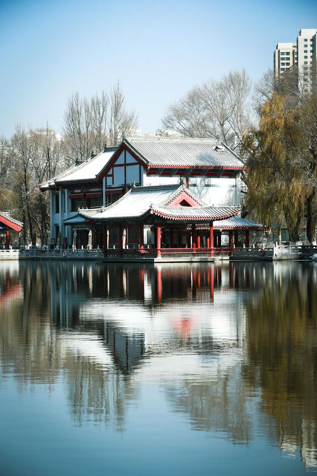 打卡西寧人民公園