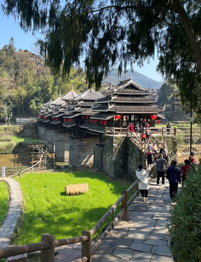 柳州打卡指南，帶你玩遍工業城