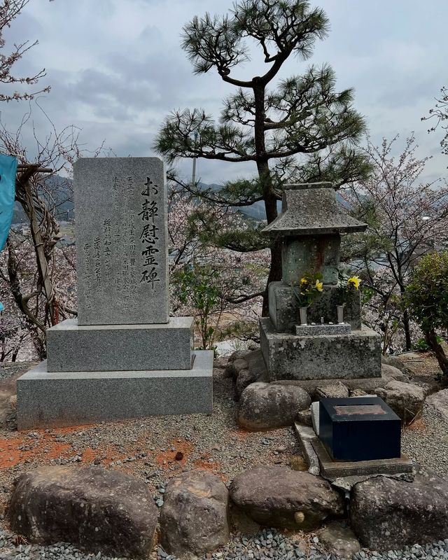 赴一場丸岡城的春日之約
