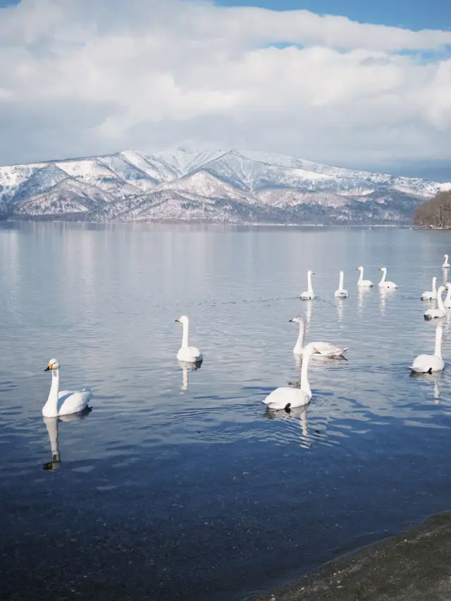 7-Day Japan Ski Trip Guide