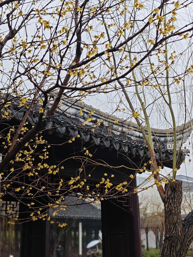 下雨天和園林更配哦-可園拍照打卡攻略