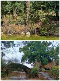 在大奇山國家森林公園偶遇“神秘生物”，你猜是啥？