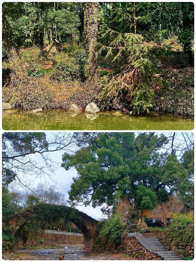 在大奇山國家森林公園偶遇“神秘生物”，你猜是啥？