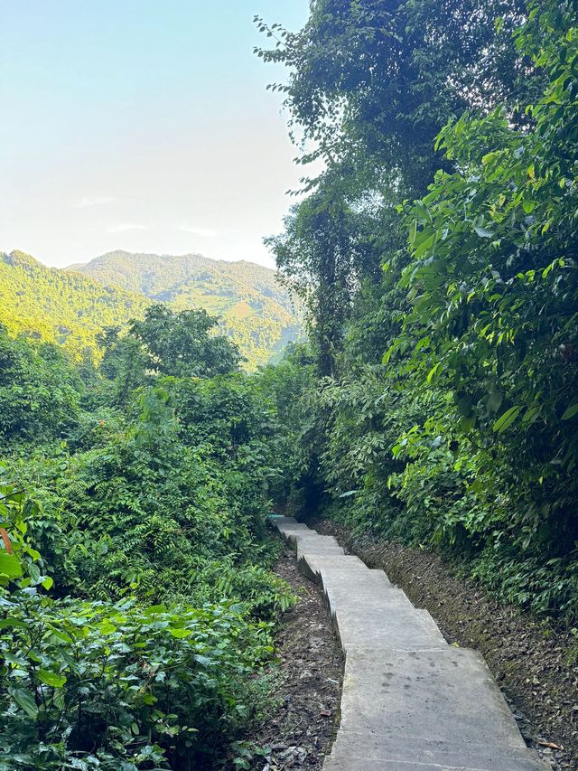 過年要去德天瀑布-通靈峽谷震撼美景等你來