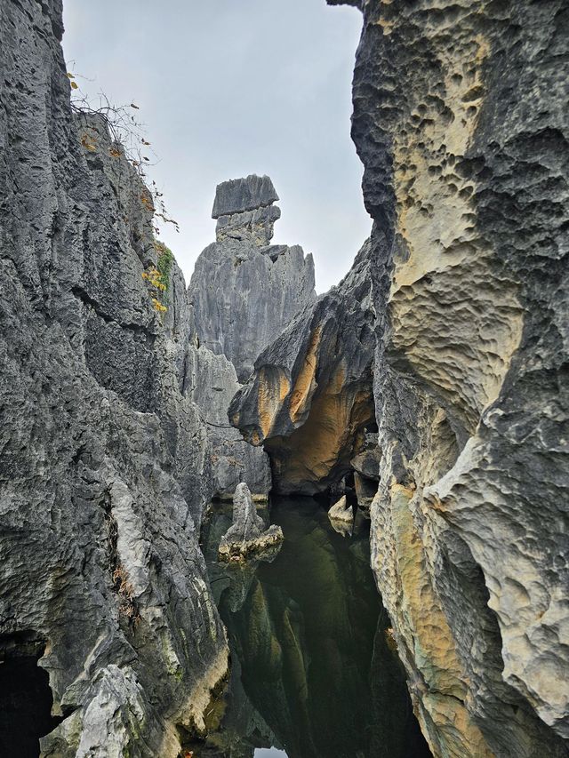 昆明-大理市-麗江8日親子遊 超詳細攻略來襲 昆明-大理市-麗江8日親子遊 超詳細攻略來襲