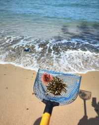 椰風海韻間，邂逅海口的多彩魅力