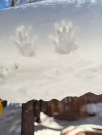 鏡頭下的大雪谷，雪蘑菇與霧凇的幻境交響