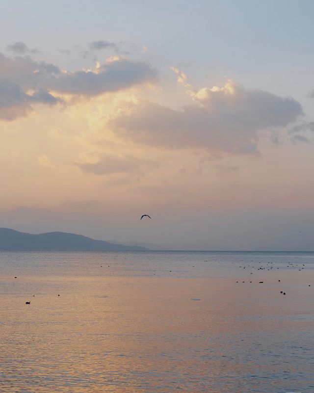 來到大理總要看一次日出,才算不虛此行吧 來到大理總要看一次日出,才算不虛此行吧