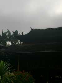 小眾寶藏地孟連，邊境的牛油果之約