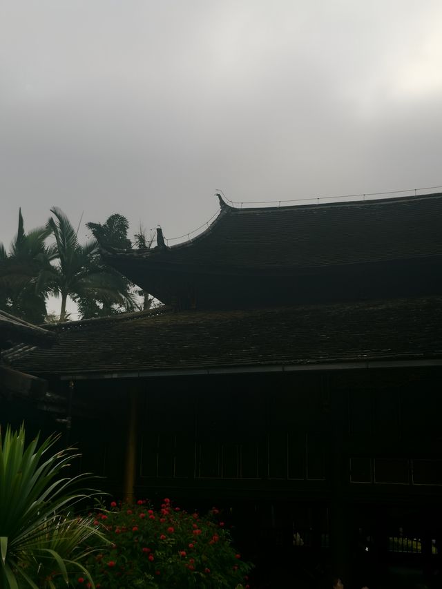 小眾寶藏地孟連，邊境的牛油果之約