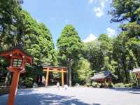 浪漫霧島：神話之里公園的絕美風光與甜蜜回憶