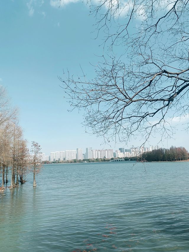 蘇州石湖湖濱公園，驚喜不斷的自然美景