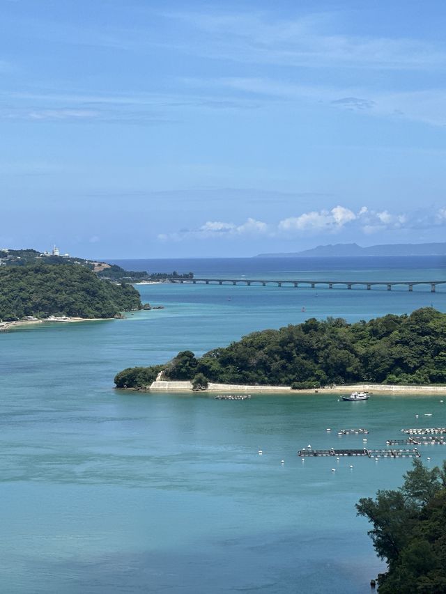 清明日本賞櫻之旅🌸 美到心醉
