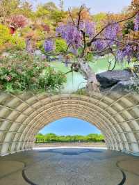 上海95%人不知道的寶藏公園捉蟹觀海