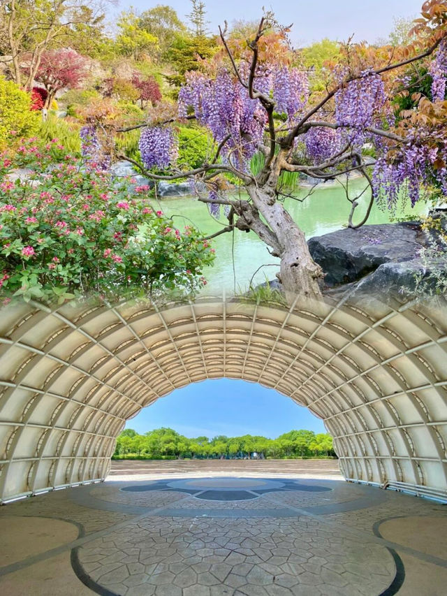 上海95%人不知道的寶藏公園捉蟹觀海