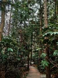 因為一首歌來到一座城～道教聖地茅山