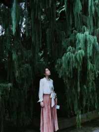 Fort Canning Tree in Singapore is a must visit destination😍🥰