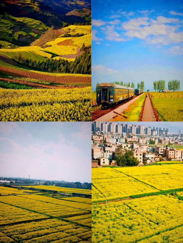 昆明沙堤村，闖入油畫世界