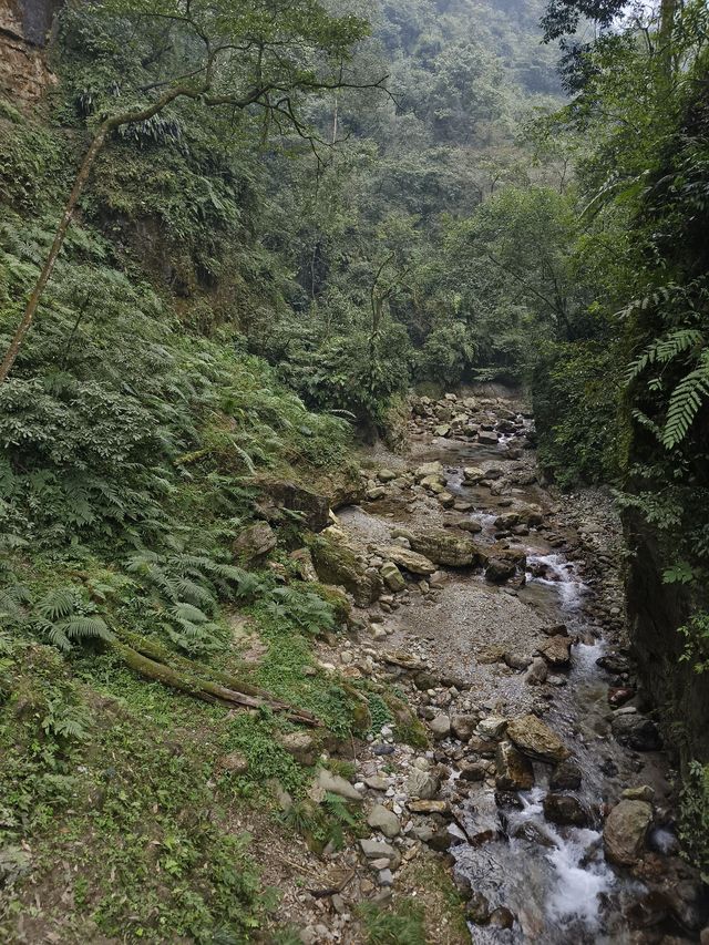 春遊熱門走起樂山-成都新風向 賞花也能這麼美