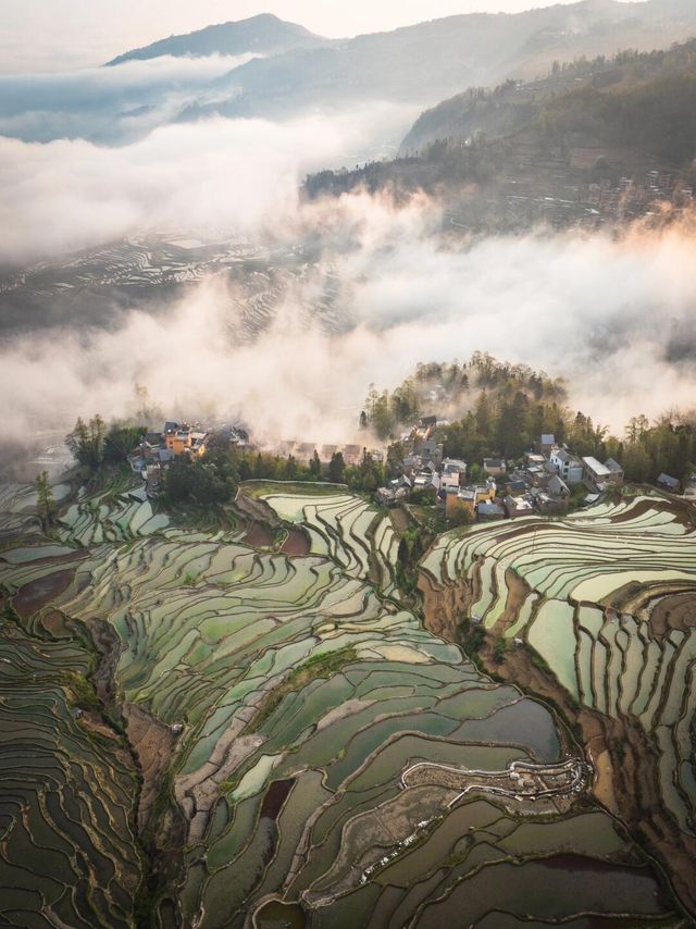 元陽梯田日出
