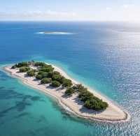 達曼珊瑚島：沙特阿拉伯的海濱明珠之旅