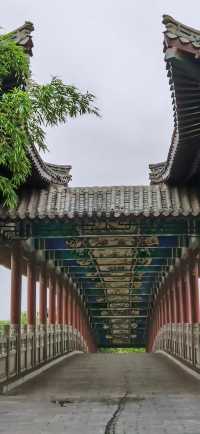 自駕蘇魯（6）「龍脈之湖」-雲龍湖旅遊景區