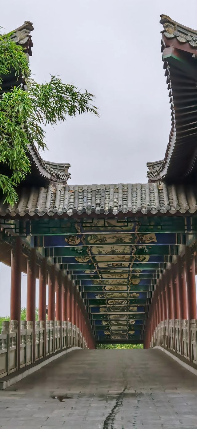 自駕蘇魯（6）「龍脈之湖」-雲龍湖旅遊景區