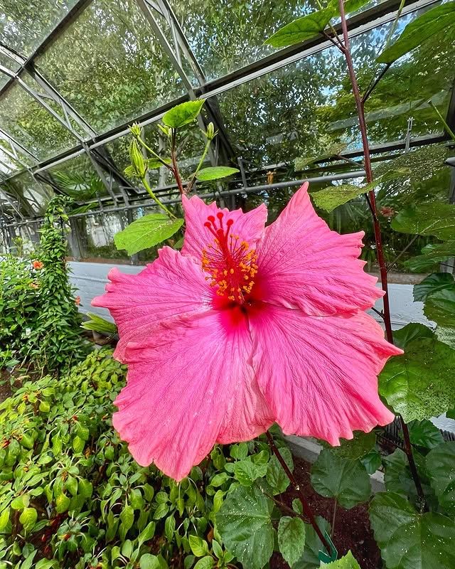 英國阿伯丁 | 戴西公園——城市中的寧靜綠洲