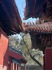 濟南-泰安-濟寧3日遊路線指南玩轉山東美景
