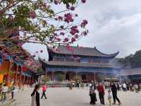 東華寺祈福·遇見繁花