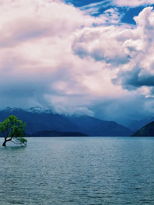 New Zealand 12-Day Tour During the Holiday: Explore the Southern Hemisphere
