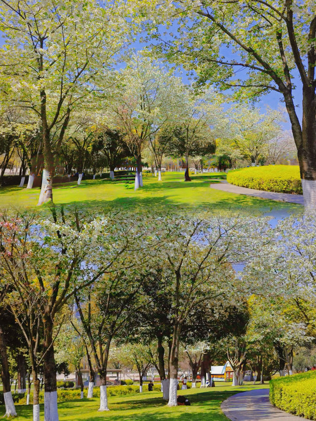 福州百林公園遊玩攻略