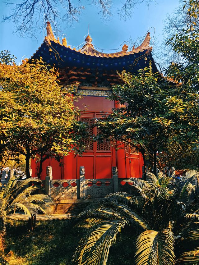 繁花落夢長安城（六）——西安碑林博物館
