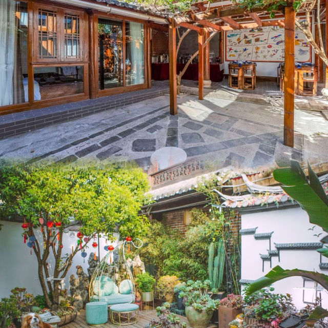 Spring Exclusive! A Guide to Experiencing the Spring in Lijiang Old Town