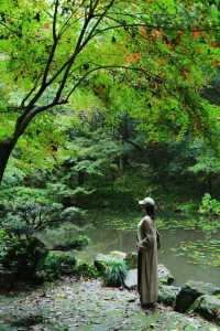 Discover the Most Relaxing City Walk Route Around West Lake!