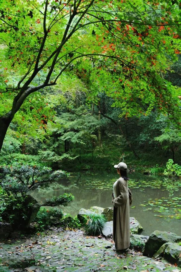 Discover the Most Relaxing City Walk Route Around West Lake!