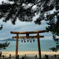 🌊｜🇯🇵福岡·元寇防壘-生之松原｜去無人的海邊
