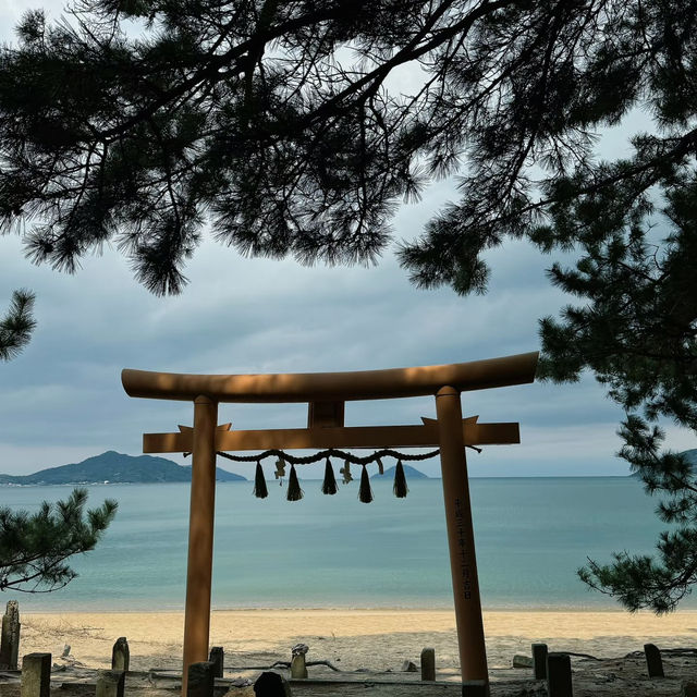 🌊｜🇯🇵福岡·元寇防壘-生之松原｜去無人的海邊